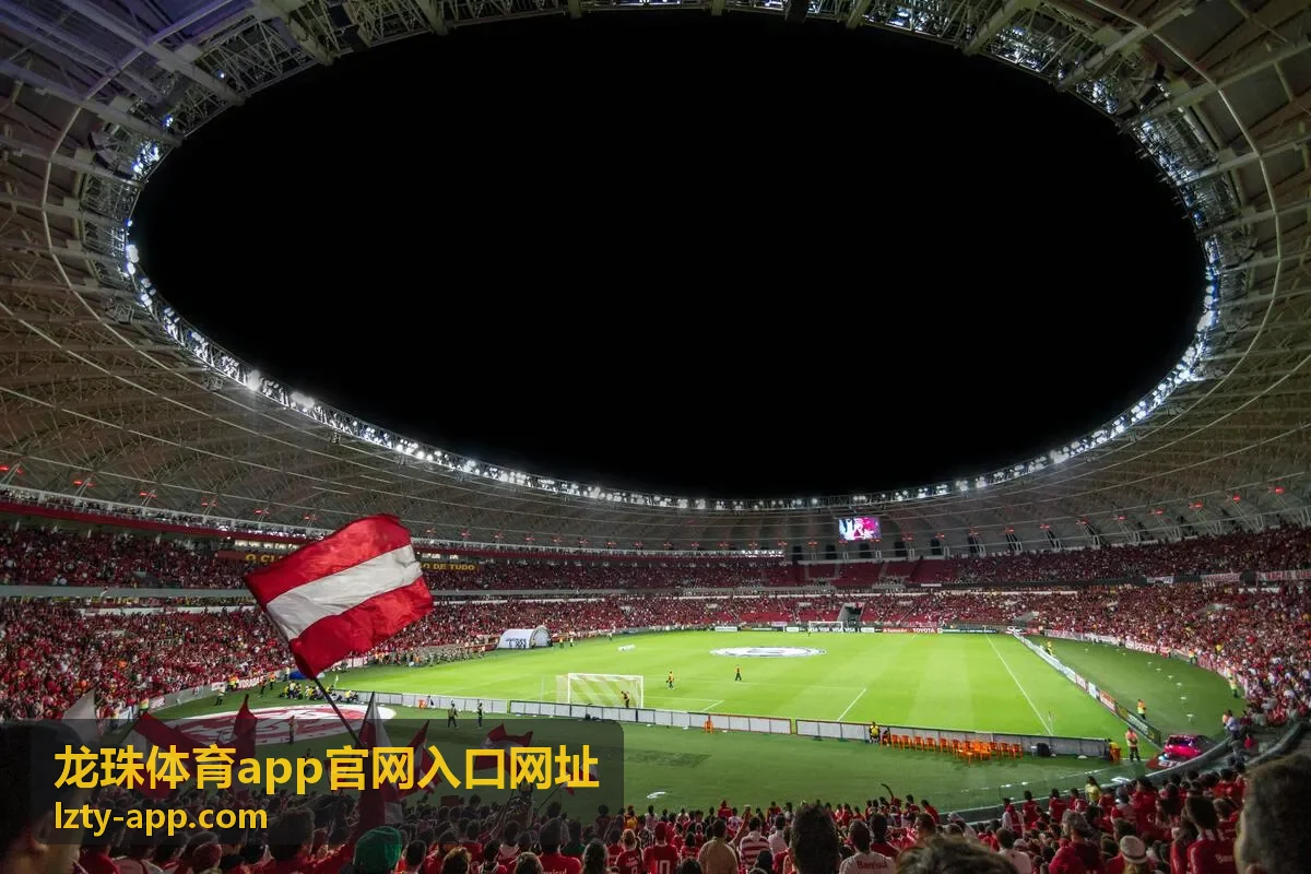 龙珠体育app实时对战